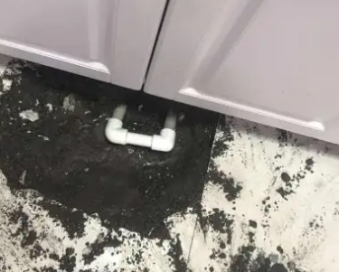 洞头查漏水哪家好